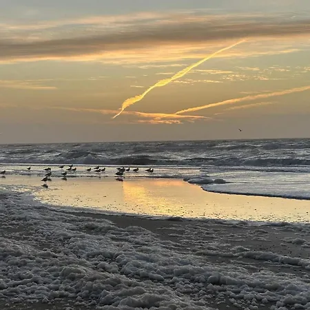 度假居 Spacious Retreat For 20 - By Traum